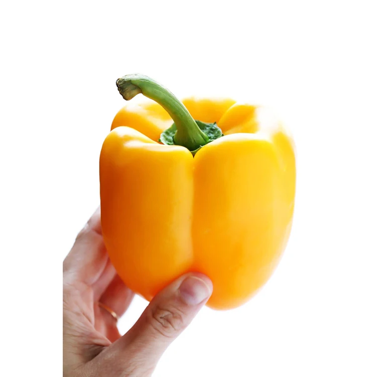 Export price frozen red bell pepper vegetable