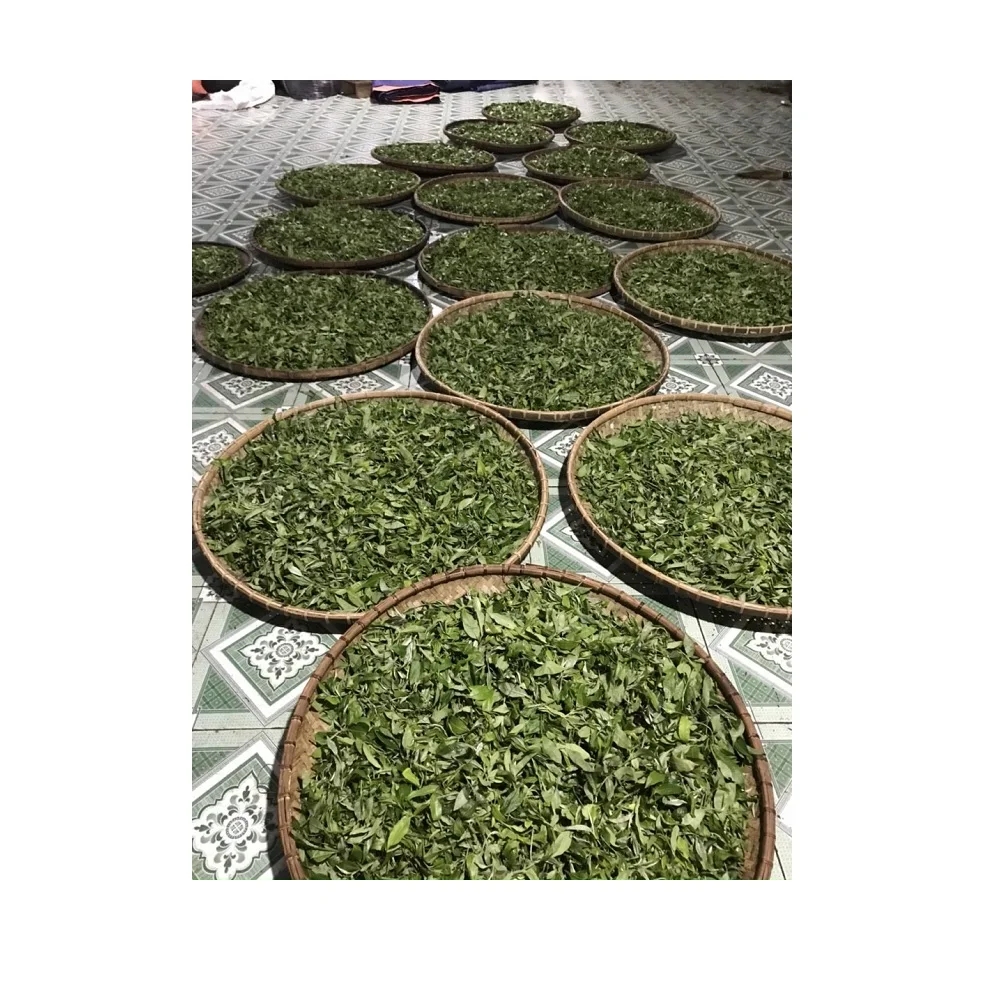 Blended Type Top Cheap Bag Green Gift Package Customize Quality Support OEM/ODM tea drinks Snow Shan Tea From Vietnam