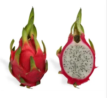 Import with Confidence and Retailers Rejoice Fresh Dragon Fruit from Viet Nam for wholesaler (+84983028718)