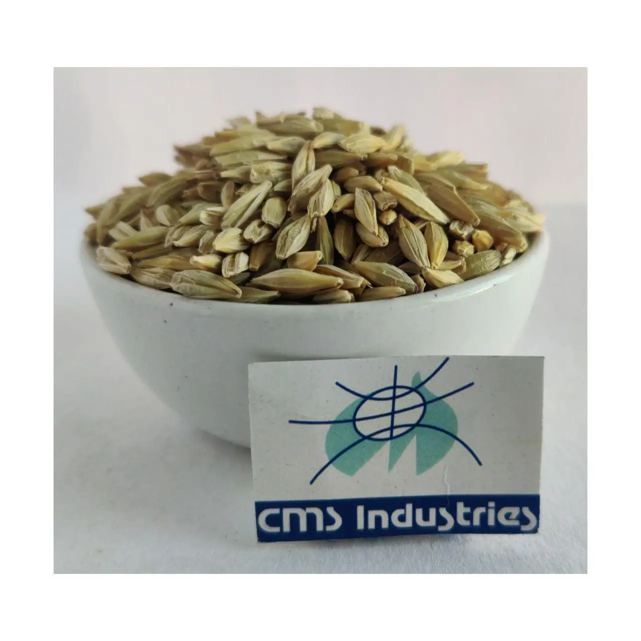 Indian Supplier High Purity Barley