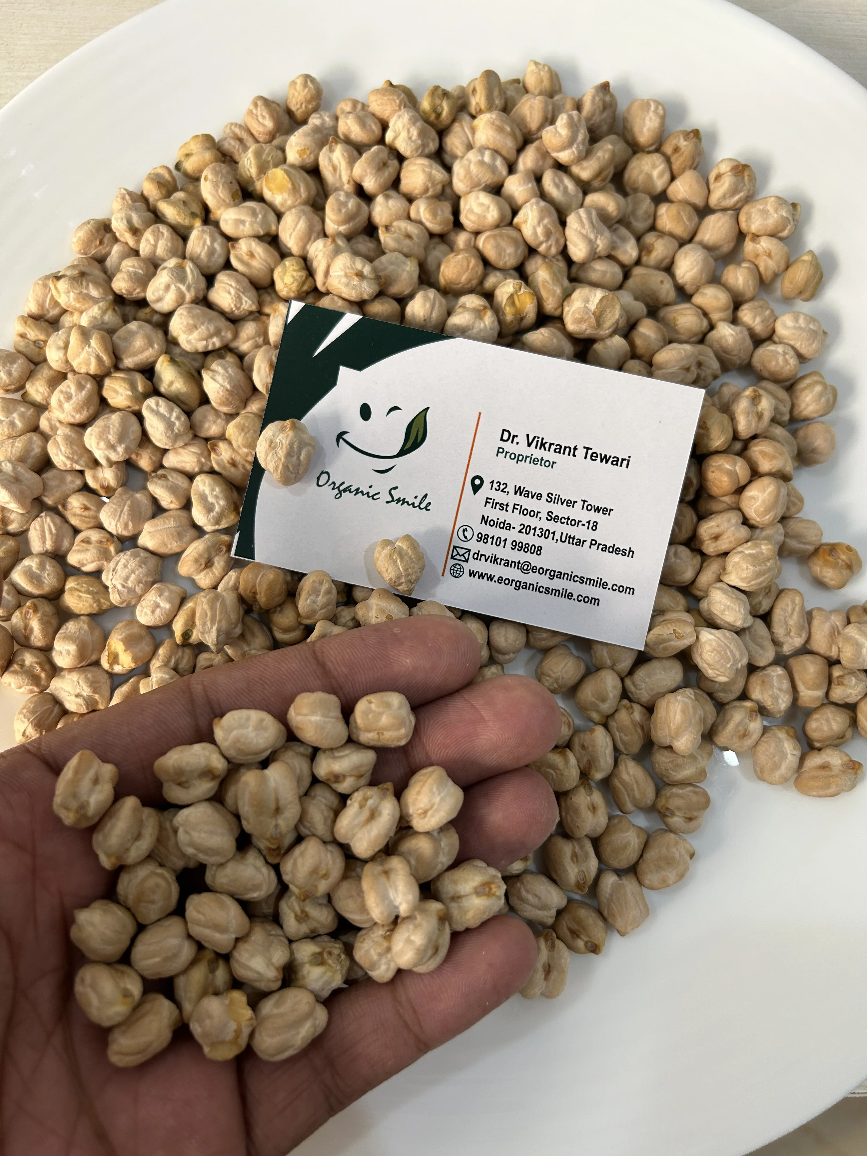 100% Pure Food Grade Kabuli Chana / White Chickpeas Wholesale Price Dried Chickpeas Purchase In Bulk Quantity