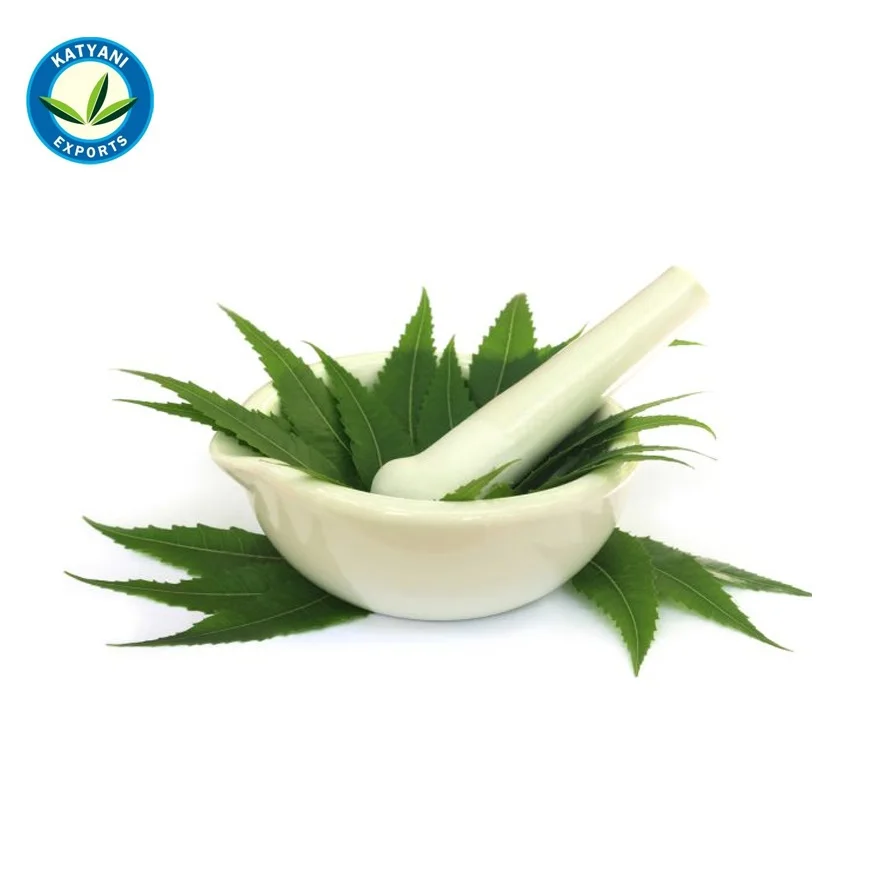 Bulk Manufacturer of 100% Pure Cold Pressed Neem Oil Ideal for Skin,Hair, and Agriculture, Pesticides,Wholesale Prices Available