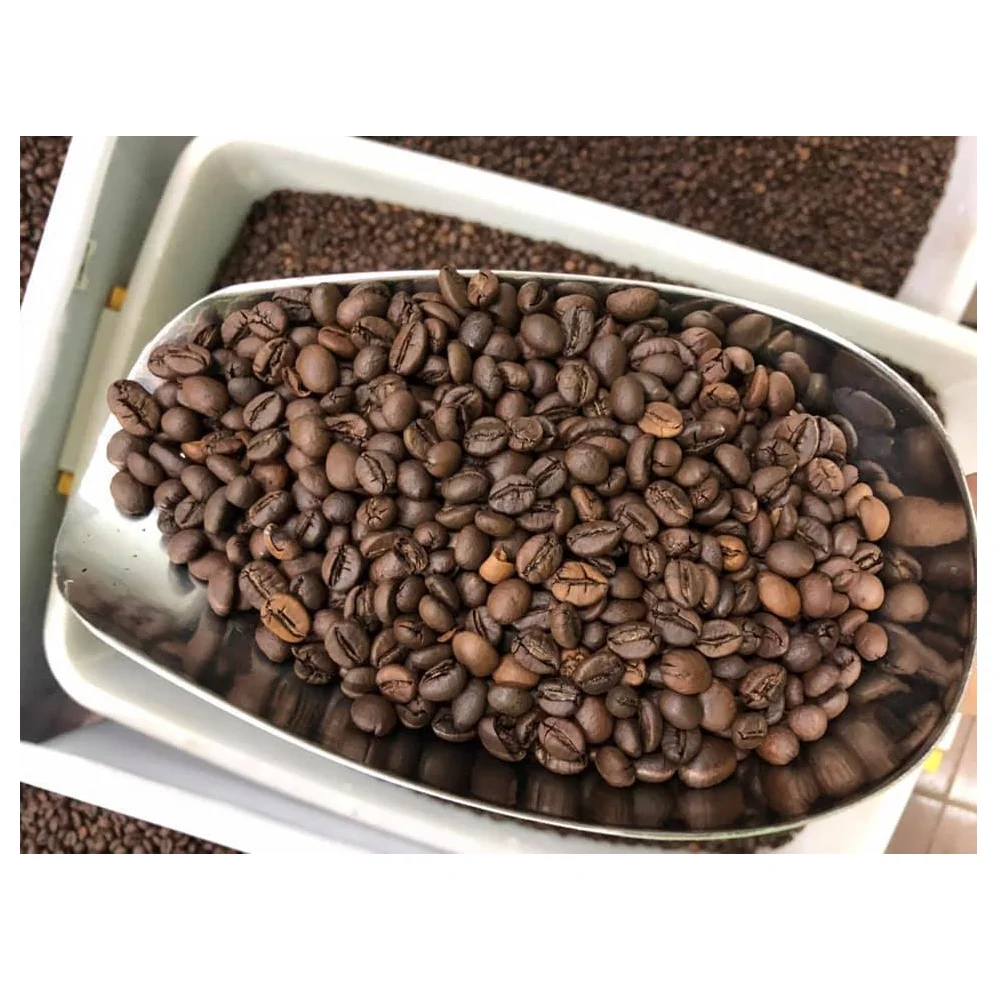 NESCAFE GOLD.png