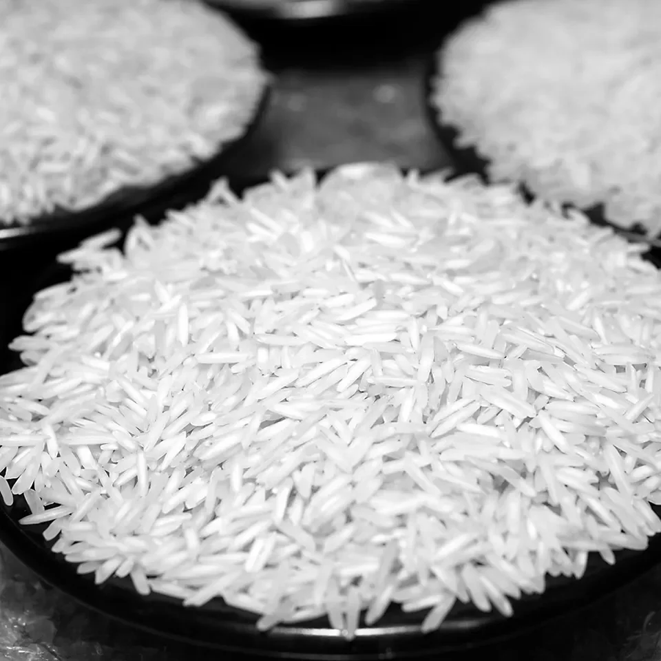 Pakistan Rice for sale