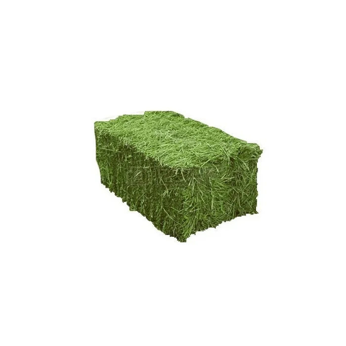 Quality alfalfa hay bays / Alfafa pellets / Dehydrated Alfalfa cubes timothy hay