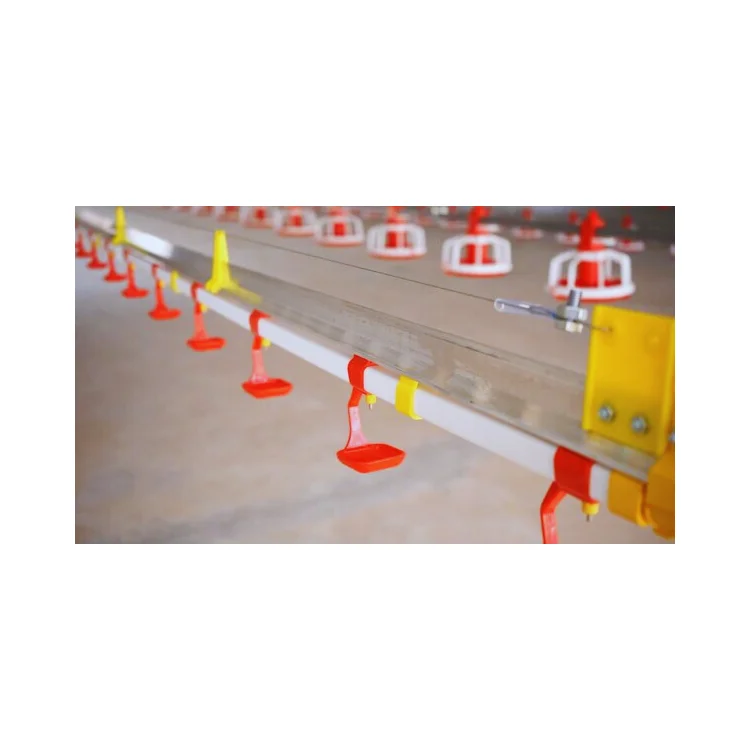 Automatic Feeding And Drinking Line System High Quality Plastic For Chicken Poultry Equipment From Vietnam Manufacturer