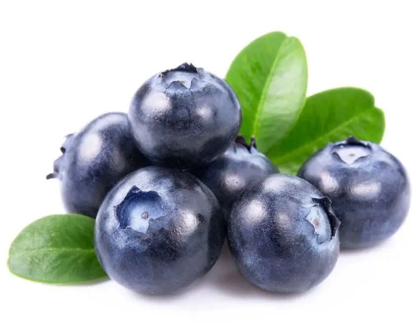 Fresh Blueberries Common