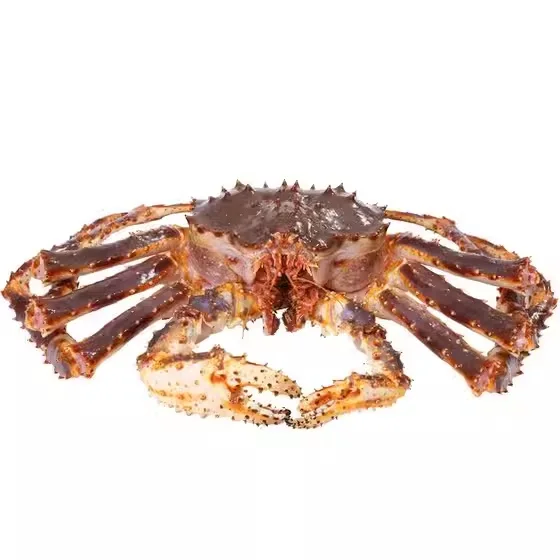 New Stock Available For Live King Crab / King Crab Clusters for Wholesale Prices from United States
