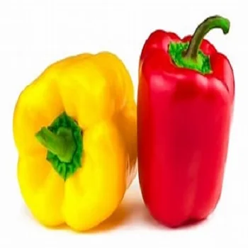Fresh Natural Pepper/ Red Bell Pepper Manufacturer