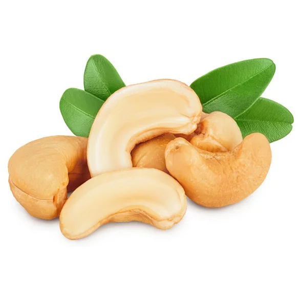 Wholesales Pure Indian Natural Cashew Nuts  Broken Cashew Nuts Kaju Cashew OEM, ODM With Good Price