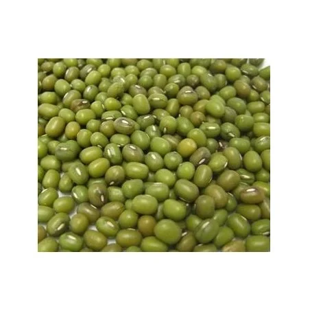 Hot Selling Price Of Green Mung Beans / Whole Moong Beans In Bulk Quantity