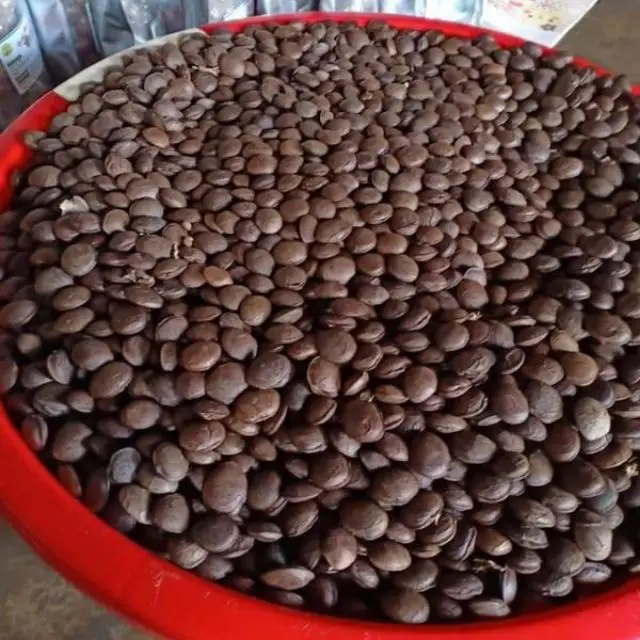 Высококачественная Белковая сырая Сача-инчи с оболочкой орехи сачи арахисовая Инка по конкурентоспособной цене/Лима + 84 346 565 938