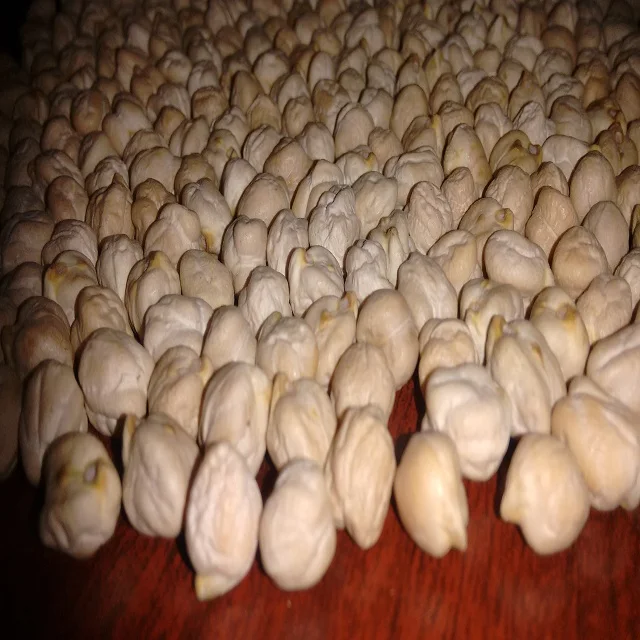 High-Nutrition Low Price Chana Wholesale Chickpea Yellow Peas Available For Sale
