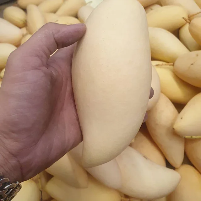 Горячая Распродажа, свежие желтые манго, Высококачественные свежие фрукты из Таиланда