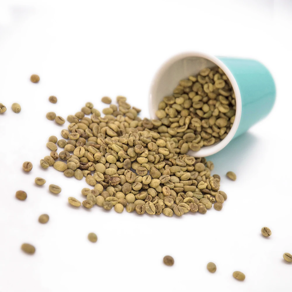 Coffee planting base supply OEM green coffee beans arabica / robusta beans arabica Washed coffee beans