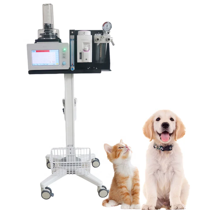 HACEMEY wall mount portable Small Automatic surgical Veterinary Anesthesia Machine system for Animal and Vet