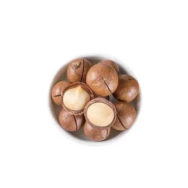 100% High Grade Organic Raw Macadamia Nuts Premium Quality Bulk Nuts Macadamia Nuts Wholesale Cheap Price