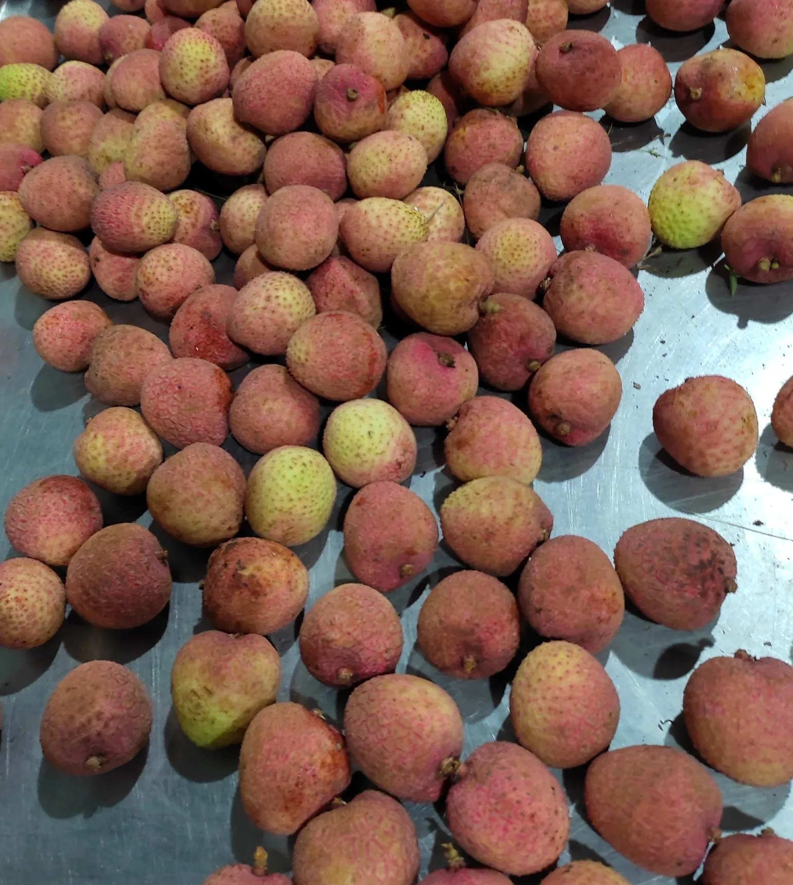 Fresh Lychee wholesales premium quality delicious natural juicy taste export vietnam new crop 2023