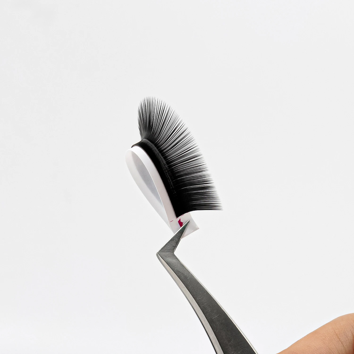 Silk eyelash extensions trays curly super black lashes imported from Korea 100% the best quality eyelashes export world wide