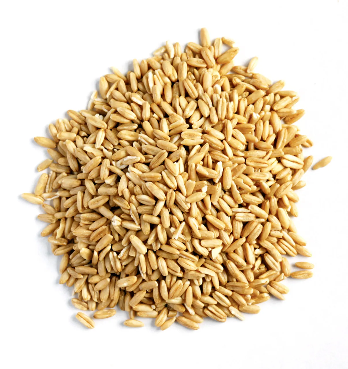 Top Quality Raw Materials for Oat Protein Selling Well in Europe and America Market