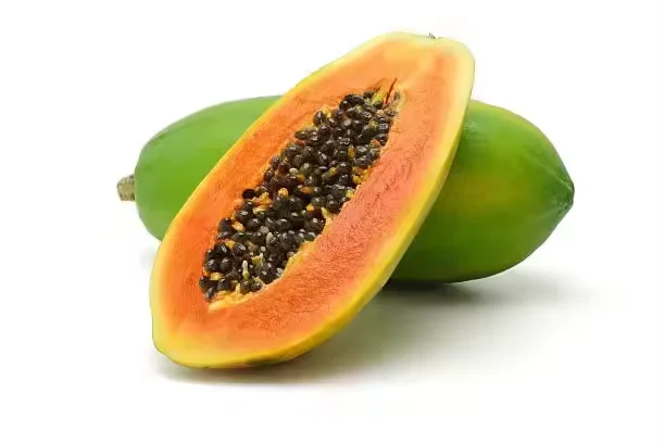 Hot Selling Papaya Seed Oil with Pure Natural Grade Bulk Suppliers Papaya Seed Oil For Sale By Indian Exporters