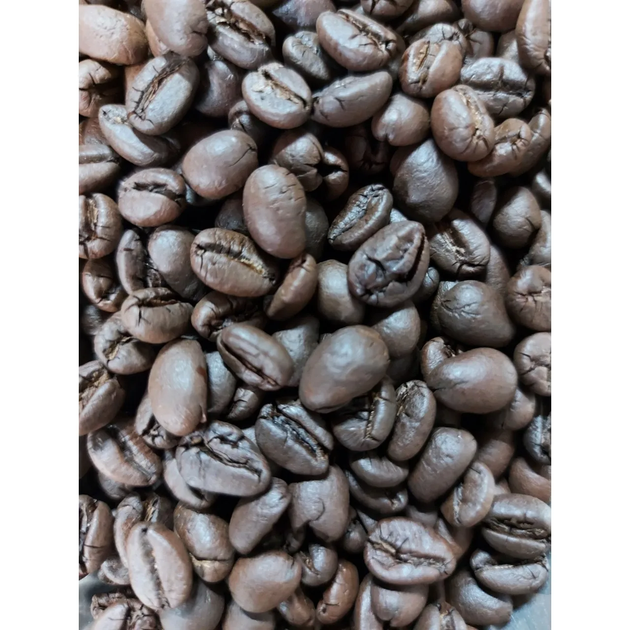 Vietnam Supplier Robusta Honey S18 Roasted Carpentry Coffee Beans High Quality Medium Roast