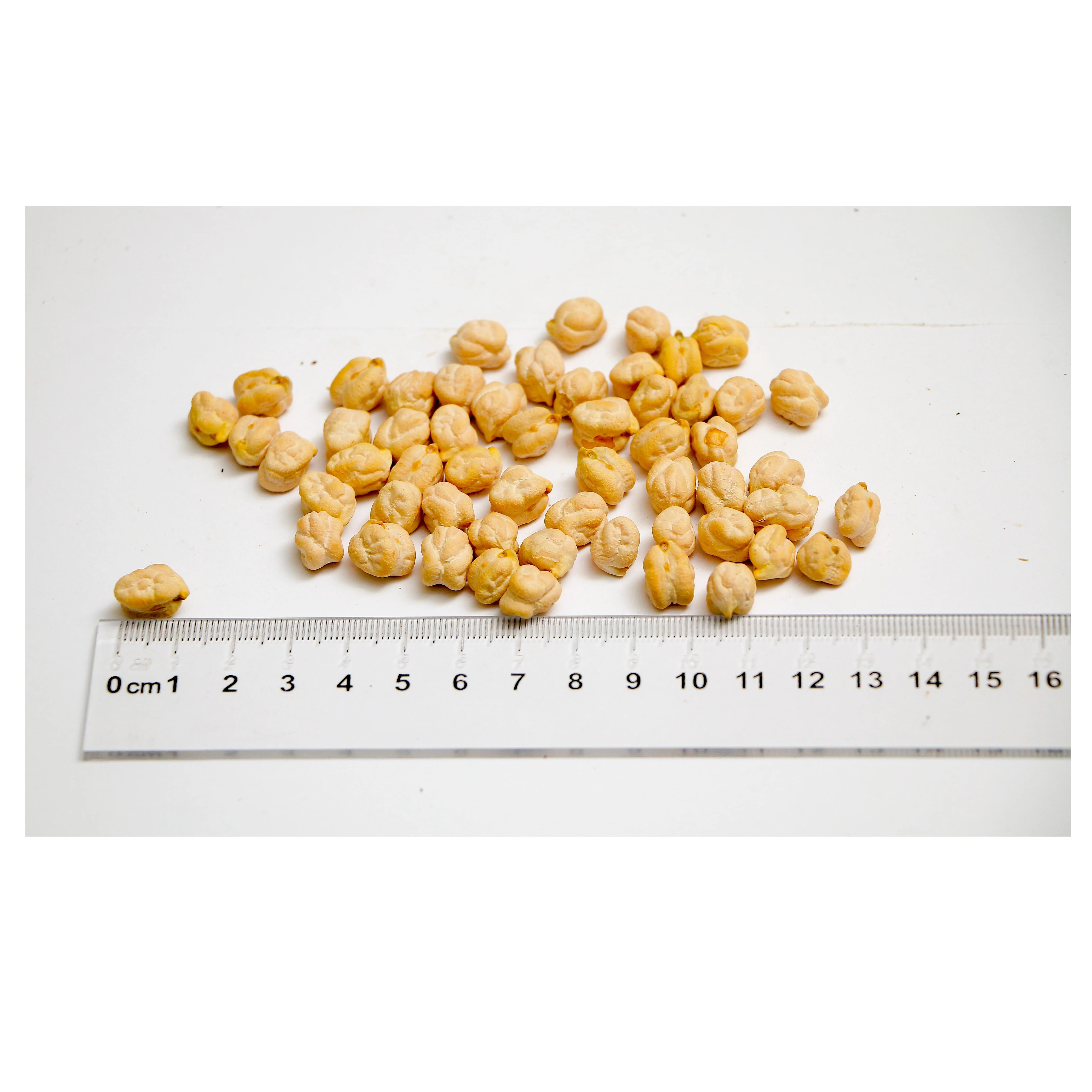 High grade non-GMO wholesale 100% natural products from Uzbekistan whole chickpeas (N-9) in bags for food