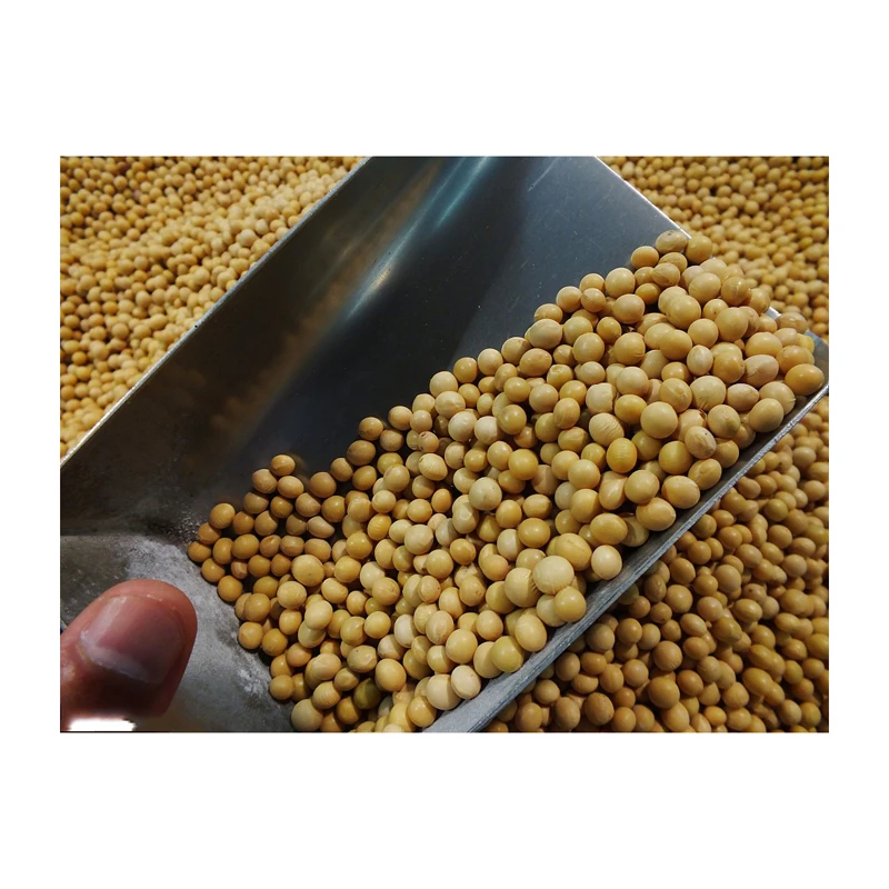 Лучшее качество Non GMO поставщик сои