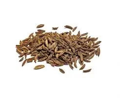 High quality Egyptian Caraway seeds Herbs spices Grade A FOR EXPORT