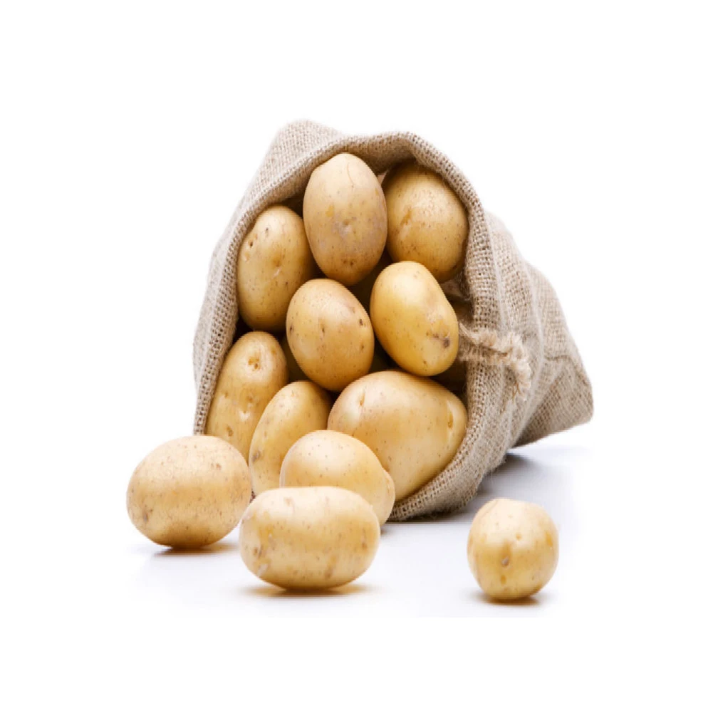 New Harvest Fresh Potatoes from Europe Direct Exporters