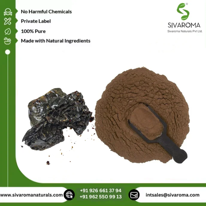 Hot Selling Shilajit Extract Powder Pure Natural Herbal Water Soluble Solvent Extracted Health Energy Supply from Manufacturer
