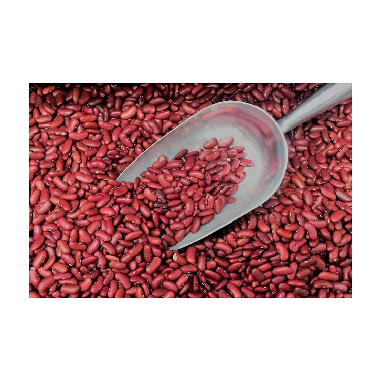 Wholesale Supplier  For Sale In Cheap Price Red Kidney Beans 100% Organic Dried Kidney Bean Top Quality Dry Beans