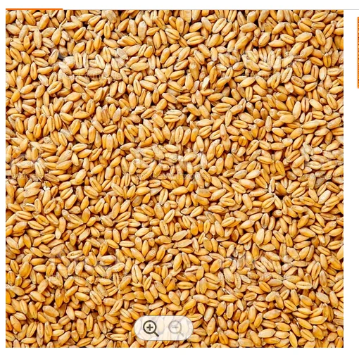 Milling Wheat for bread making