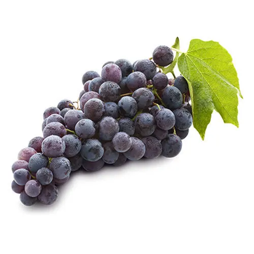 Highest Quality Premium Black Grapes with Good Sweet Content and Flavorful Available at Wholesale Price from Indian Exporter