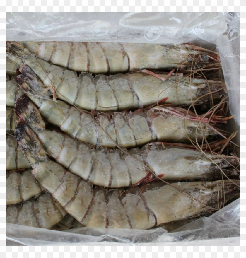 Цельные креветки без кожки морепродукты Vannamei замороженные