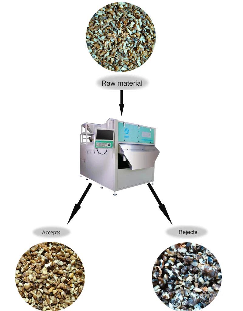 Peanuts Walnut Color sorter/sorting machine CCD camera intelligent Nuts processing machine