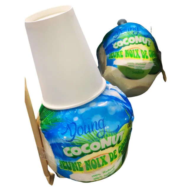 High Quality Fresh Young Green Coconut from Vietnam International Agriculture Wholesale Prices Cheap Price