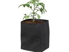 Eco Friendly Product of 2024 Cocopeat Growbags For Australia Newzealand Queenlands