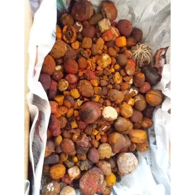 100% natural top Quality Ox Gallstones Cattle Gallstones/Cow Gallstones at wholesale price