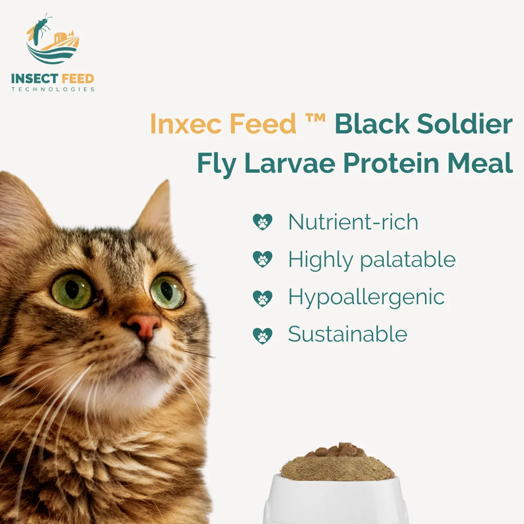 Wholesale Bag Customized Pack Milled Larvae for Pets Protein Powder Black Soldier Fly Natural Animal Feed Min 52% Protein