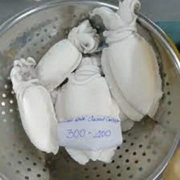 Frozen Cuttlefish IQF Style Natural Frozen Food Frozen Squid & Cuttlefish Ball