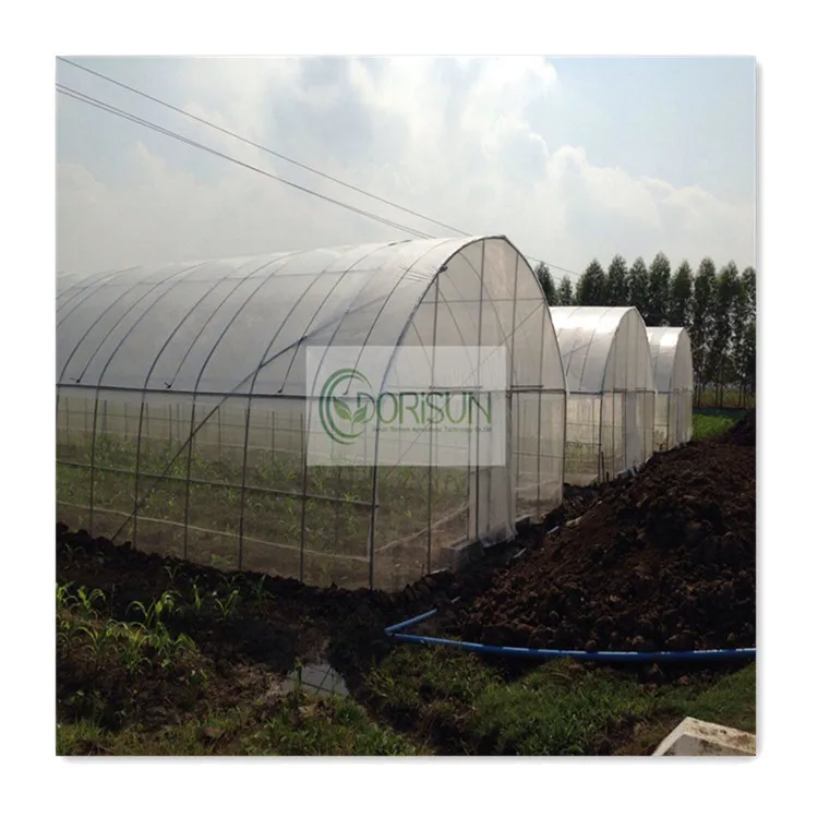 Tomato Strawberry Plastic Film Tunnel Singlespan Agricultural Greenhouse Farm For Sale
