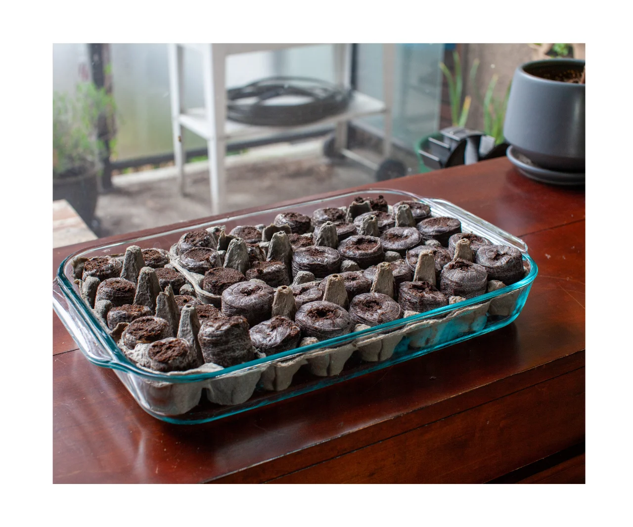 Vietnam Coco Peat Pellet Coir Peat For Planting/ Cocopeat Pellets/Coco fiber coco peat