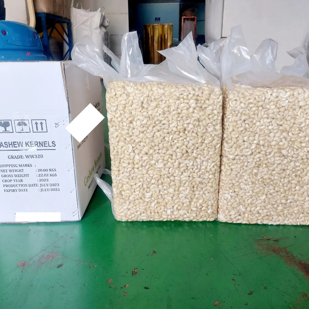 Trusted Supplier Cashew Nuts Cashew Nuts W320 W210 From Santigo Vietnam SK, LP2, LWP