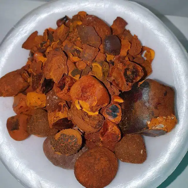 100% natural top Quality Ox Gallstones Cattle Gallstones Cow Gallstones Buy Cow Gall Stones