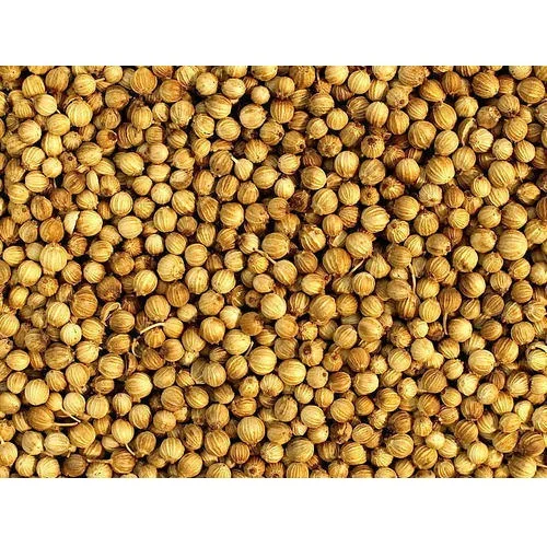 Buy Good Quality Wholesale Pure and Organic Coriander Seeds for Bulk Buyer