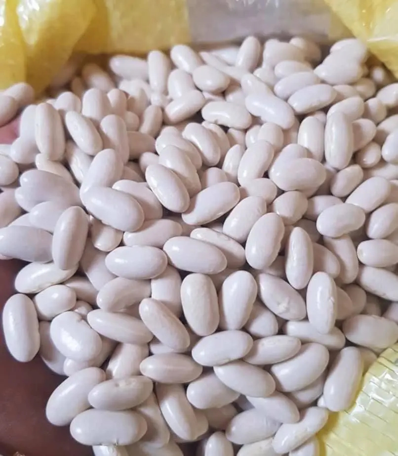 white kidney beans at wholesale prices