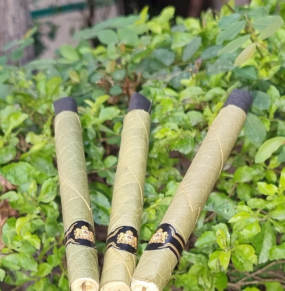 Organic hand rolled leaf Best compatible leaf in filled herbal mixture & buds Full Natural taste pleasurable Super Slow Burning