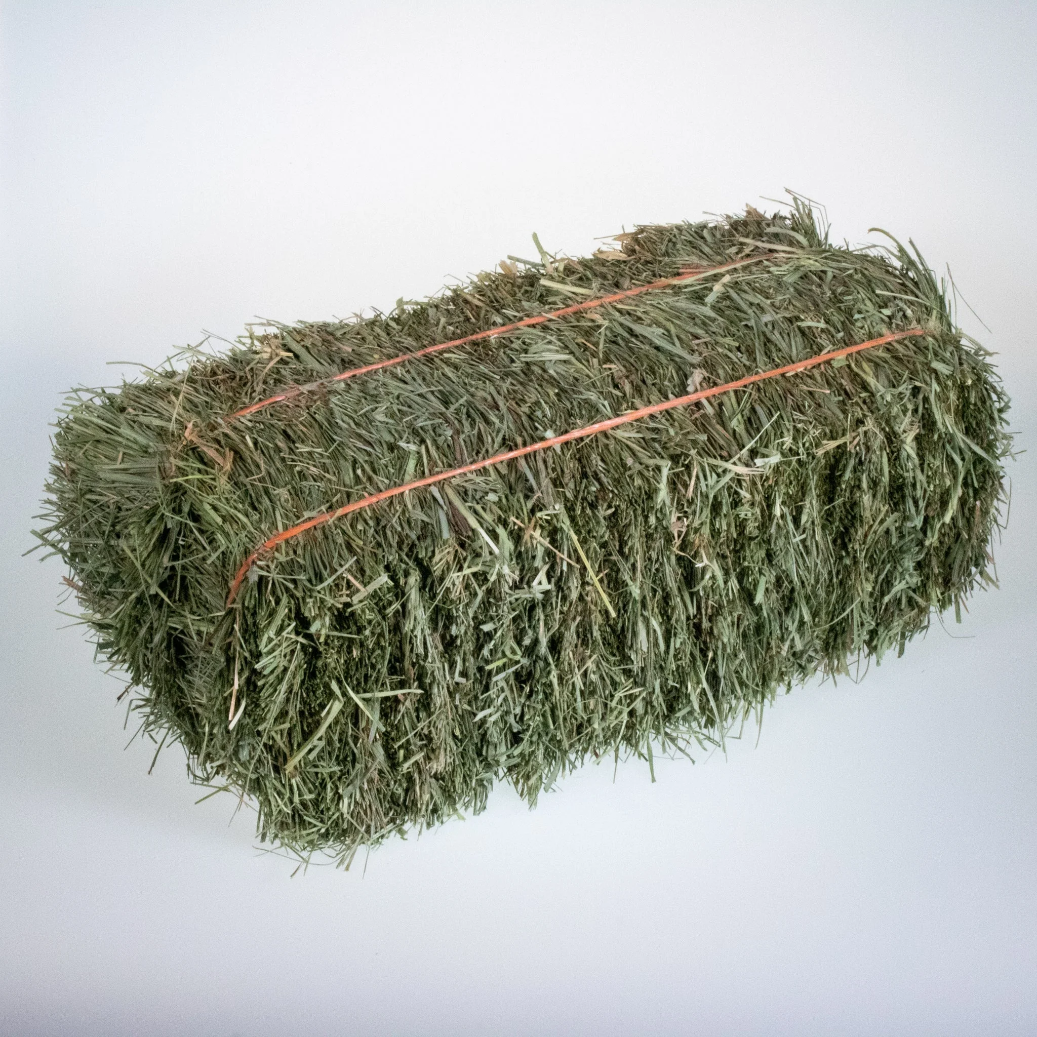 Alfalfa Hay at very cheap price / Quality Rhodes Grass Hay Alfalfa ready for export