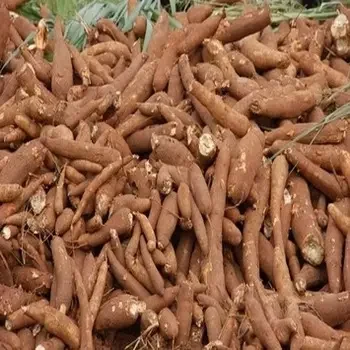 Лучшие сушеные чипсы из